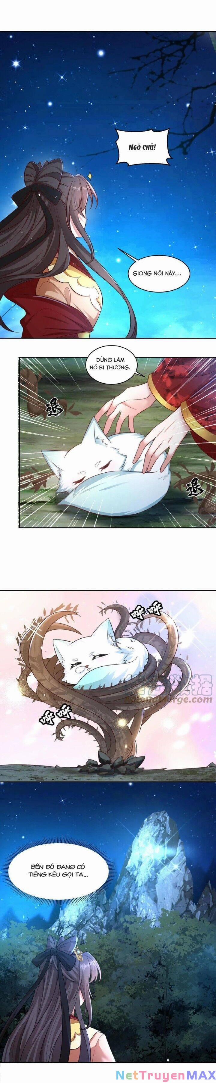 Chuyển Sinh: Thần Y Quận Chúa Khuynh Thiên Hạ 15 trang 3