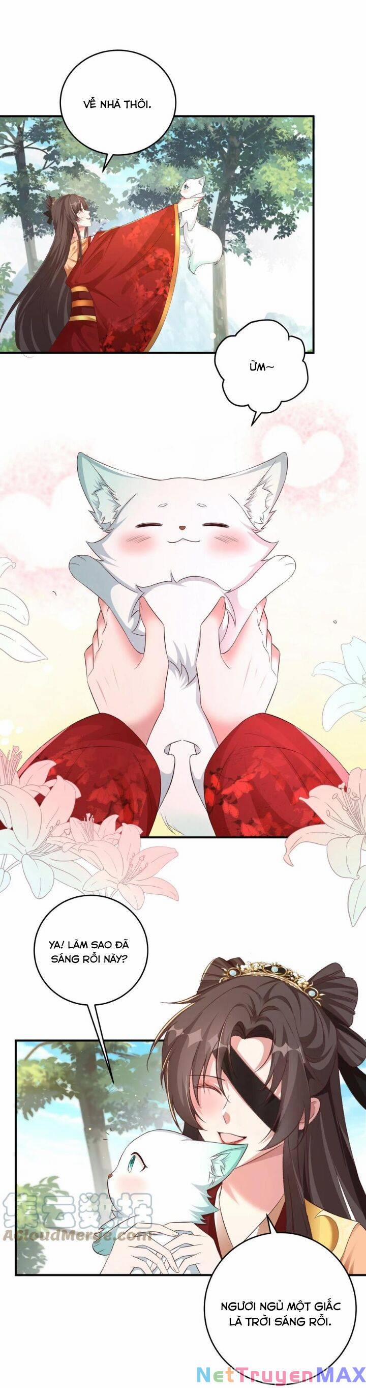 Chuyển Sinh: Thần Y Quận Chúa Khuynh Thiên Hạ 18 trang 10