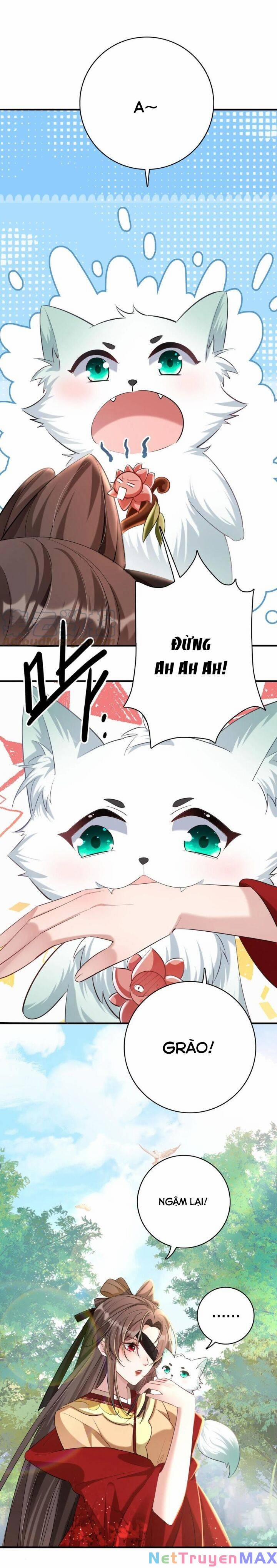 Chuyển Sinh: Thần Y Quận Chúa Khuynh Thiên Hạ 19 trang 5