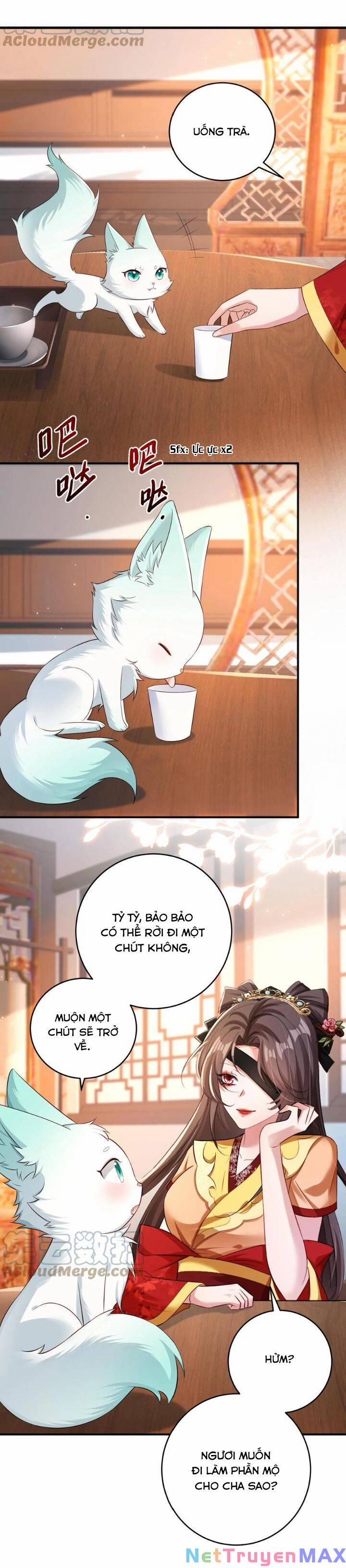 Chuyển Sinh: Thần Y Quận Chúa Khuynh Thiên Hạ 22 trang 8