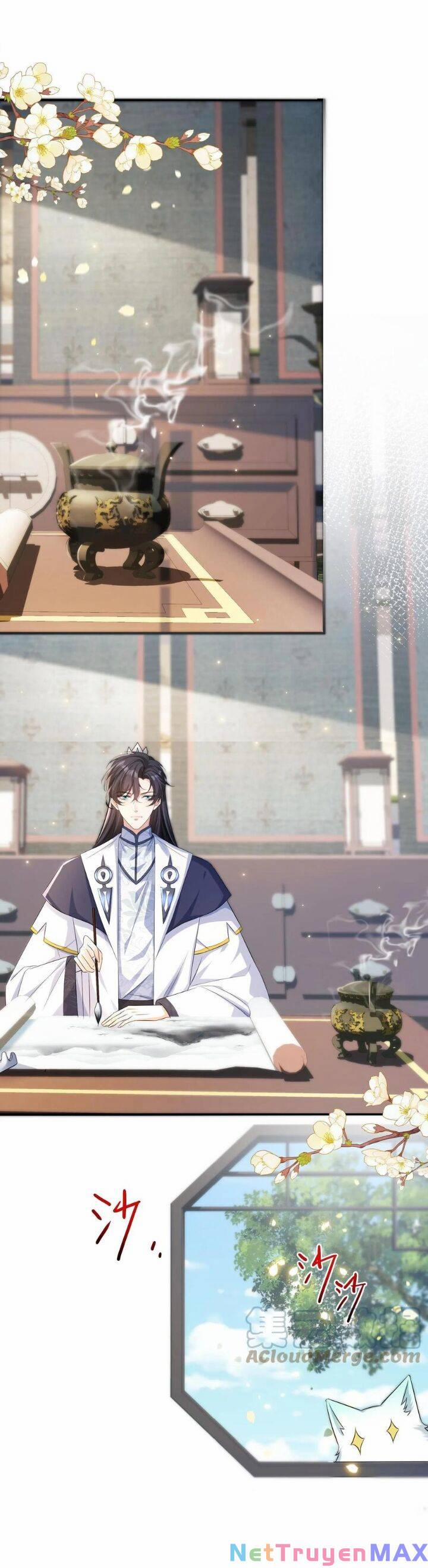 Chuyển Sinh: Thần Y Quận Chúa Khuynh Thiên Hạ 23 trang 4