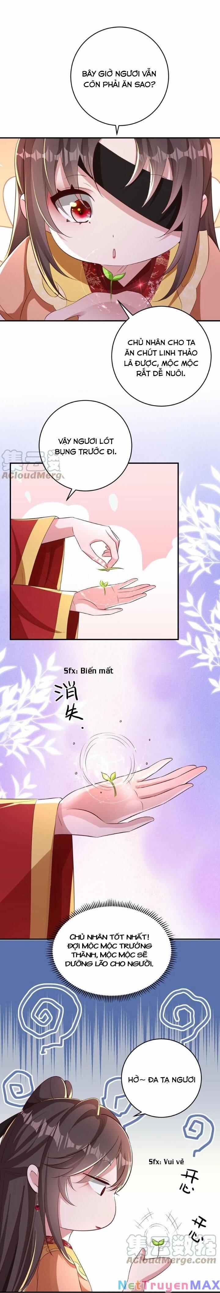 Chuyển Sinh: Thần Y Quận Chúa Khuynh Thiên Hạ 25 trang 5