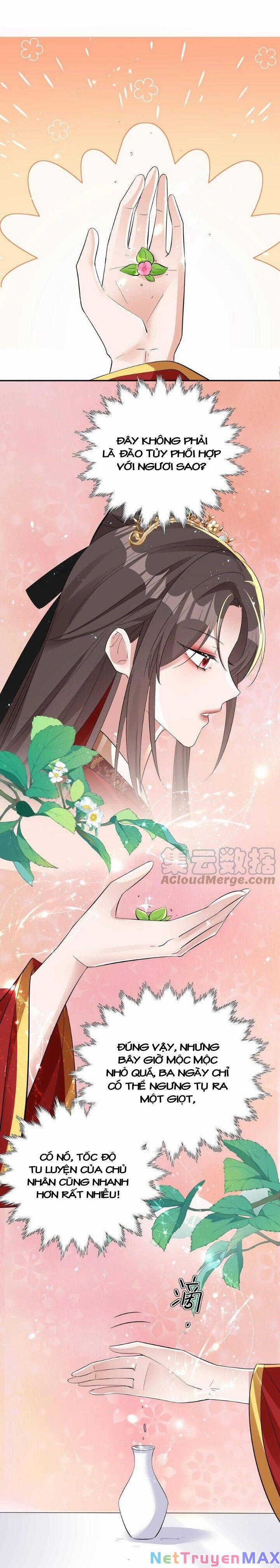 Chuyển Sinh: Thần Y Quận Chúa Khuynh Thiên Hạ 26 trang 4
