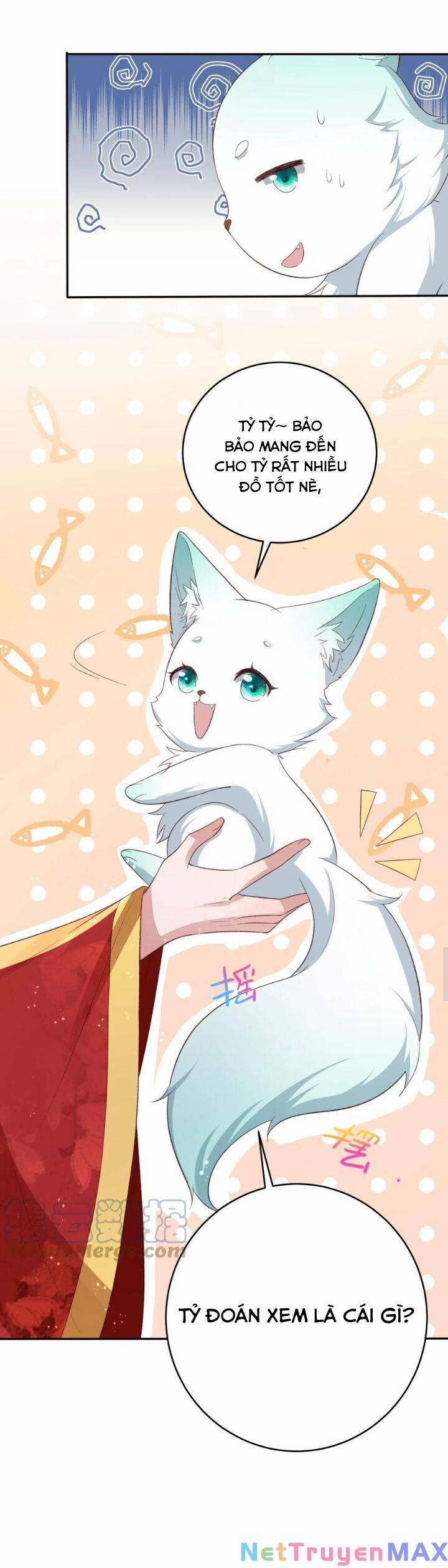 Chuyển Sinh: Thần Y Quận Chúa Khuynh Thiên Hạ 28 trang 5