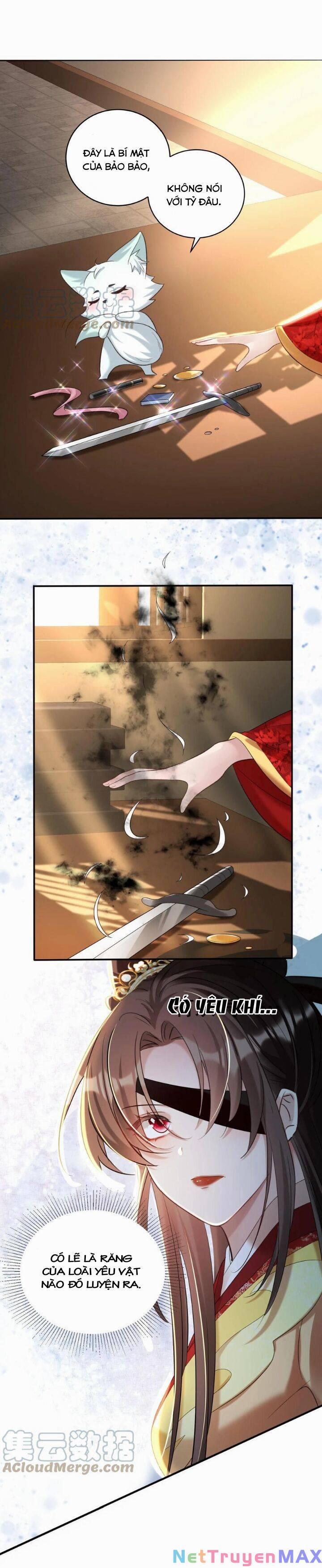 Chuyển Sinh: Thần Y Quận Chúa Khuynh Thiên Hạ 28 trang 8