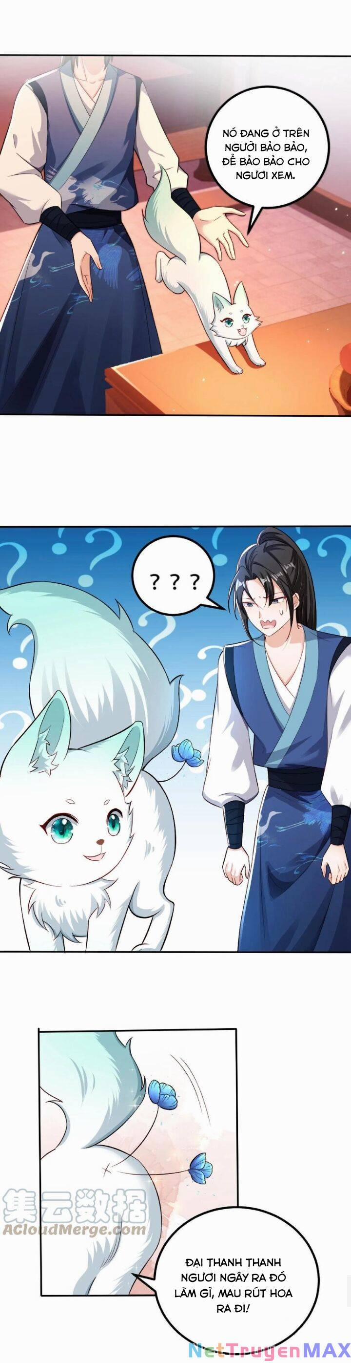 Chuyển Sinh: Thần Y Quận Chúa Khuynh Thiên Hạ 30 trang 9