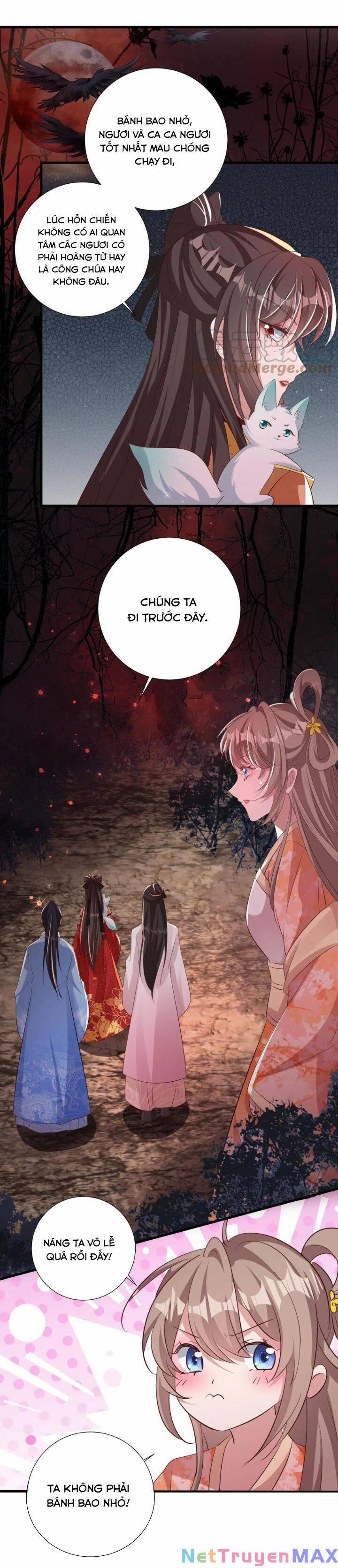 Chuyển Sinh: Thần Y Quận Chúa Khuynh Thiên Hạ 36 trang 4