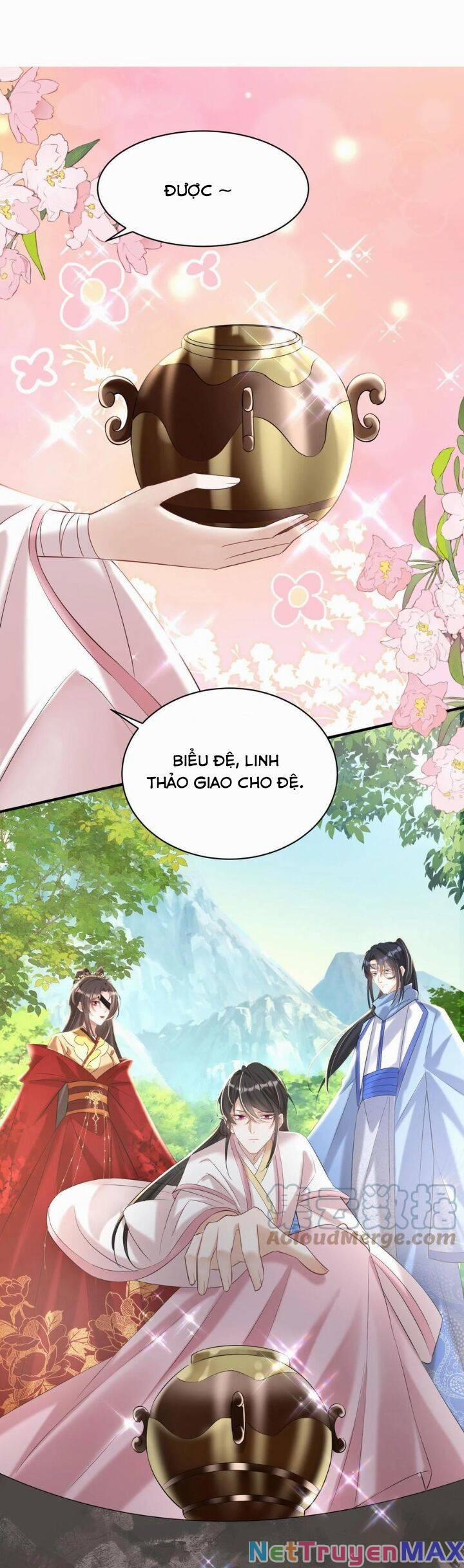 Chuyển Sinh: Thần Y Quận Chúa Khuynh Thiên Hạ 42 trang 6