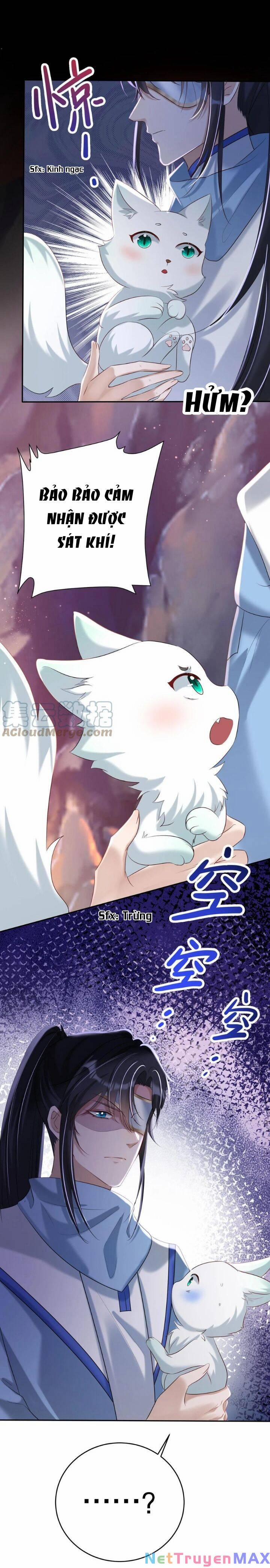 Chuyển Sinh: Thần Y Quận Chúa Khuynh Thiên Hạ 51 trang 11