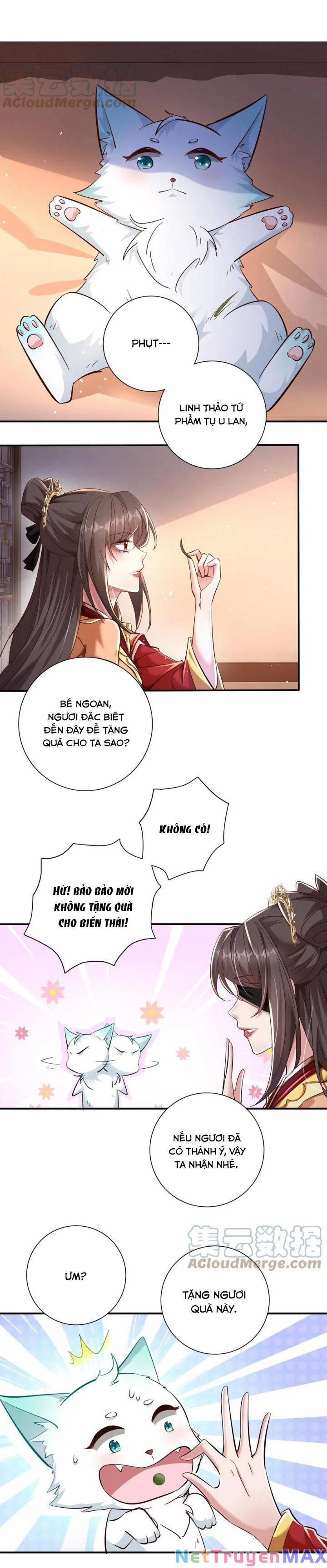 Chuyển Sinh: Thần Y Quận Chúa Khuynh Thiên Hạ 7 trang 4