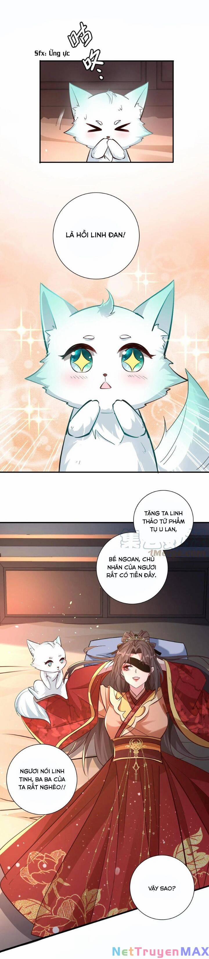 Chuyển Sinh: Thần Y Quận Chúa Khuynh Thiên Hạ 7 trang 5