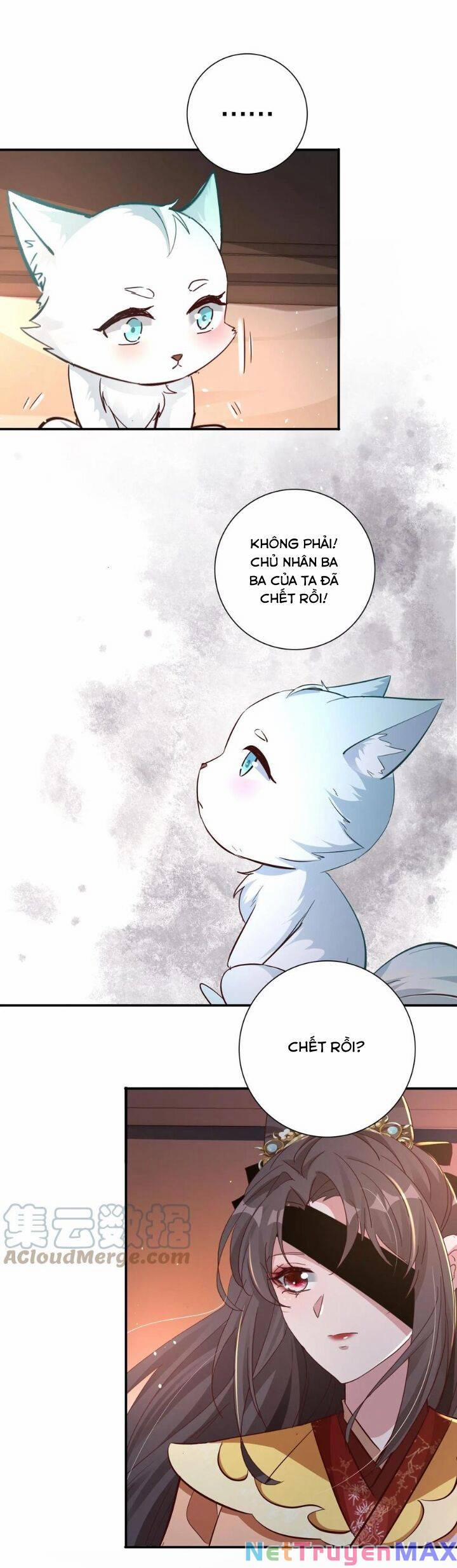 Chuyển Sinh: Thần Y Quận Chúa Khuynh Thiên Hạ 7 trang 7