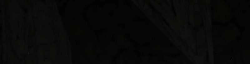 Chuyển Sinh Thành Goblin 1 trang 147