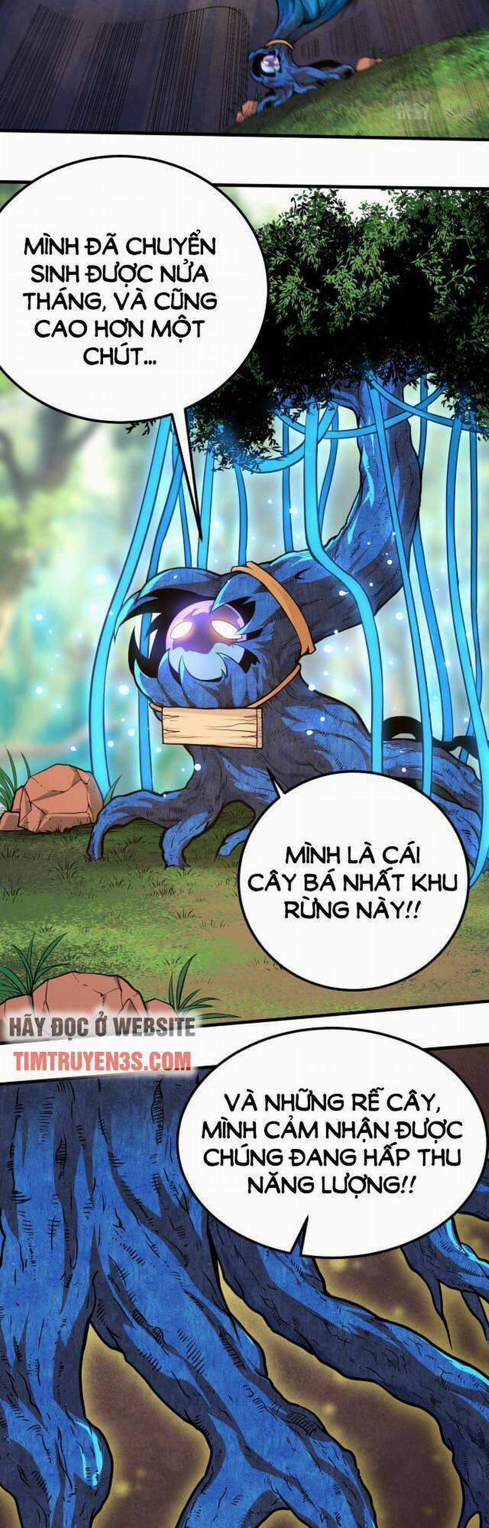 Chuyển Sinh Thành Liễu Đột Biến 1 trang 36