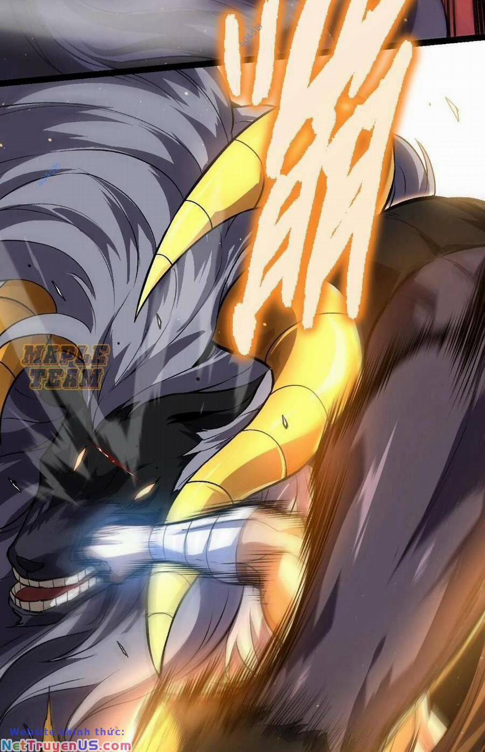 Chuyển Sinh Thành Liễu Đột Biến 105 trang 11