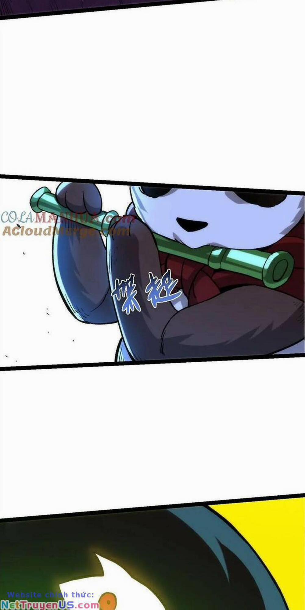 Chuyển Sinh Thành Liễu Đột Biến 114 trang 11