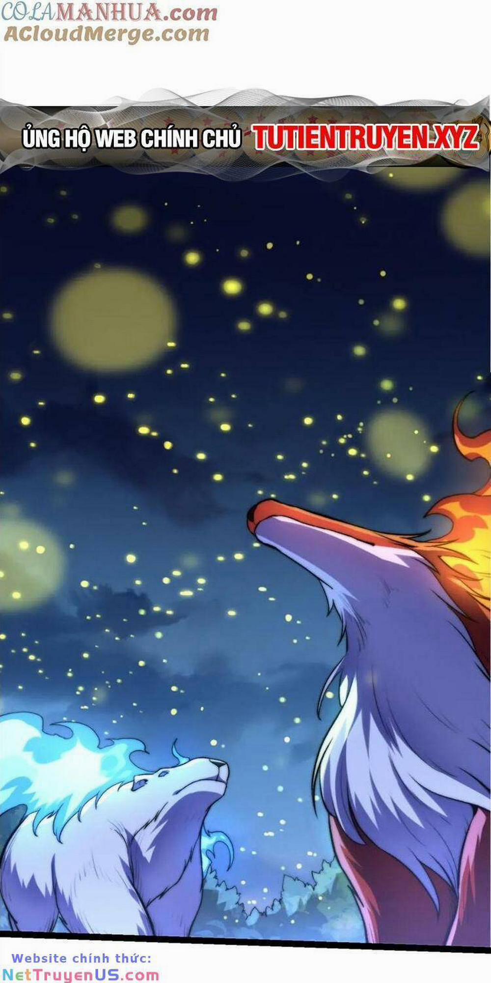 Chuyển Sinh Thành Liễu Đột Biến 114 trang 16