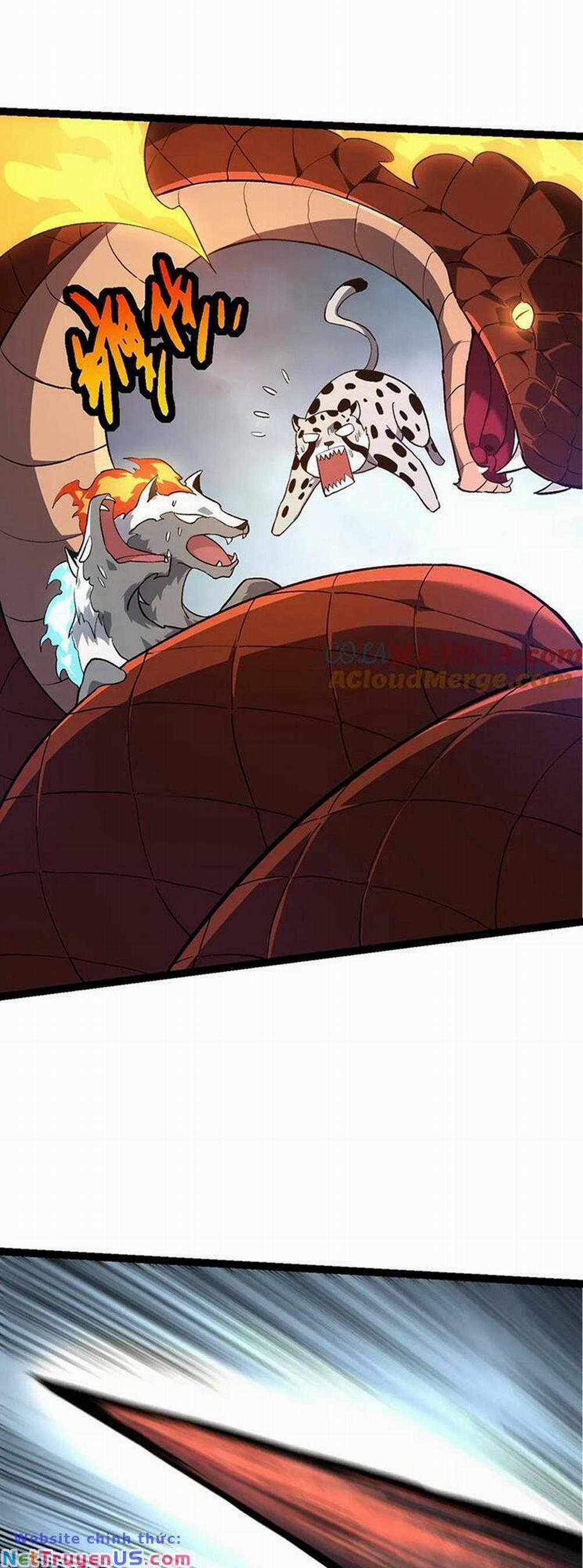 Chuyển Sinh Thành Liễu Đột Biến 139 trang 4