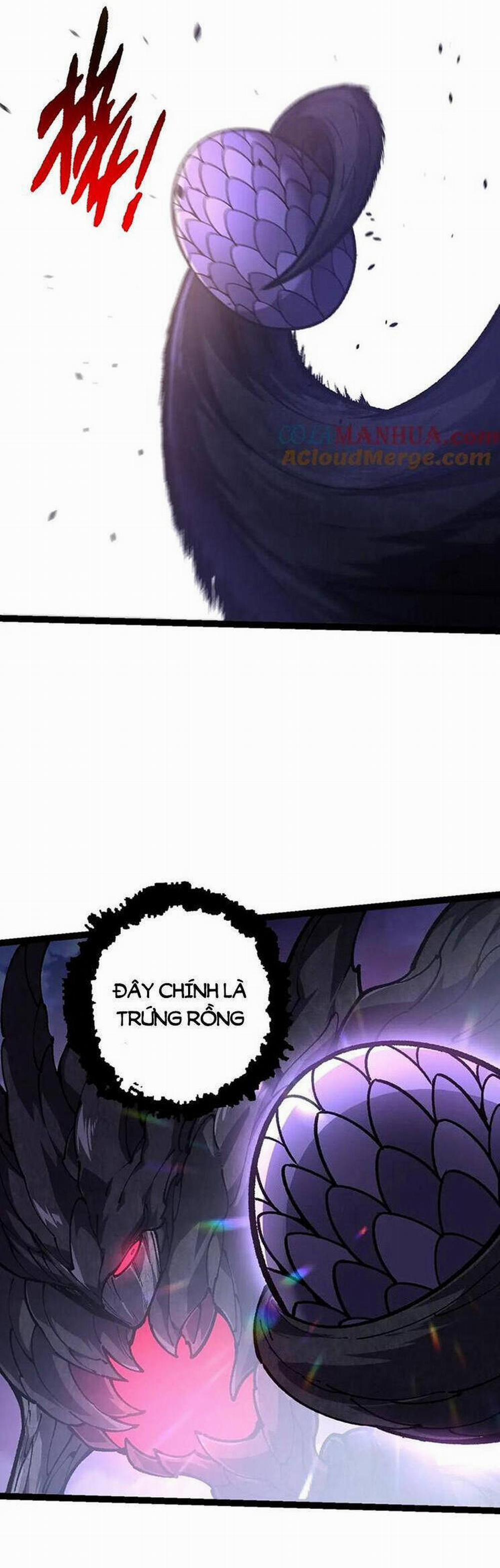 Chuyển Sinh Thành Liễu Đột Biến 142 trang 10