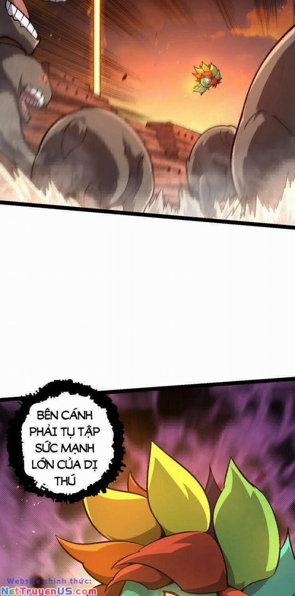 Chuyển Sinh Thành Liễu Đột Biến 143 trang 18