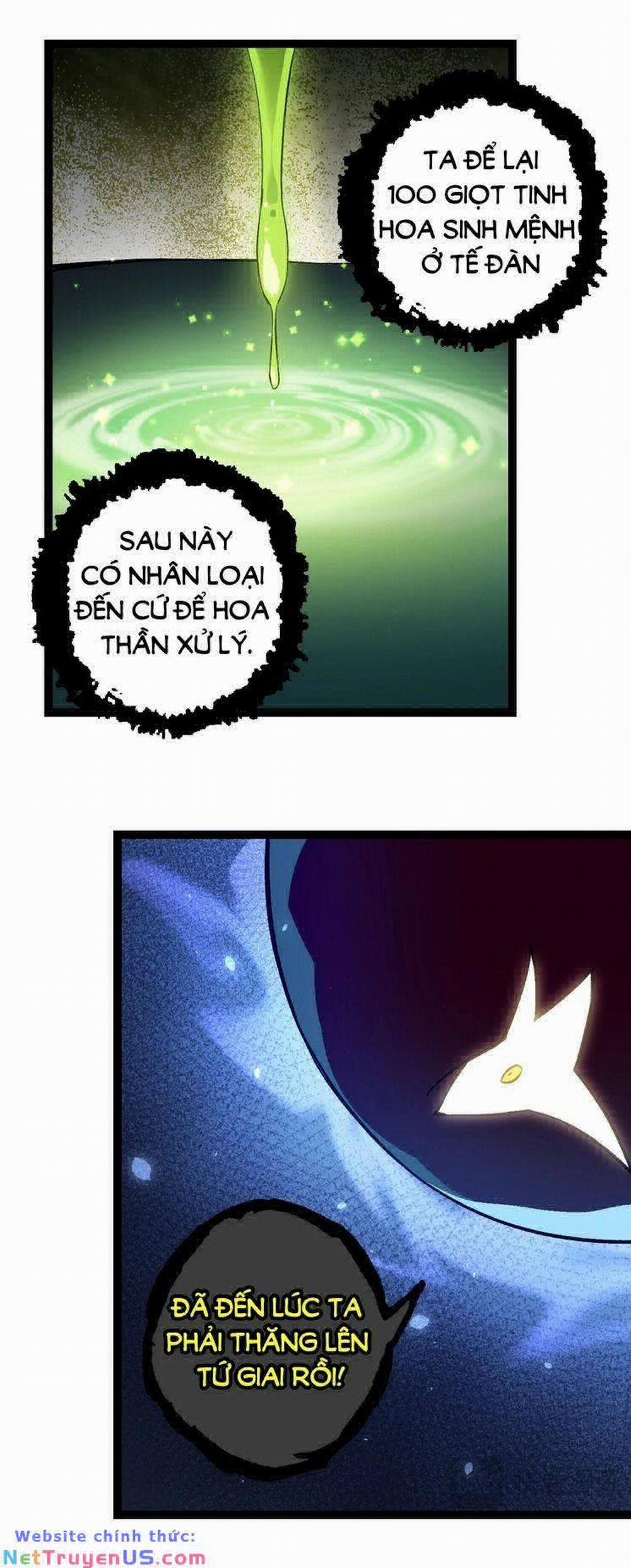 Chuyển Sinh Thành Liễu Đột Biến 146 trang 14