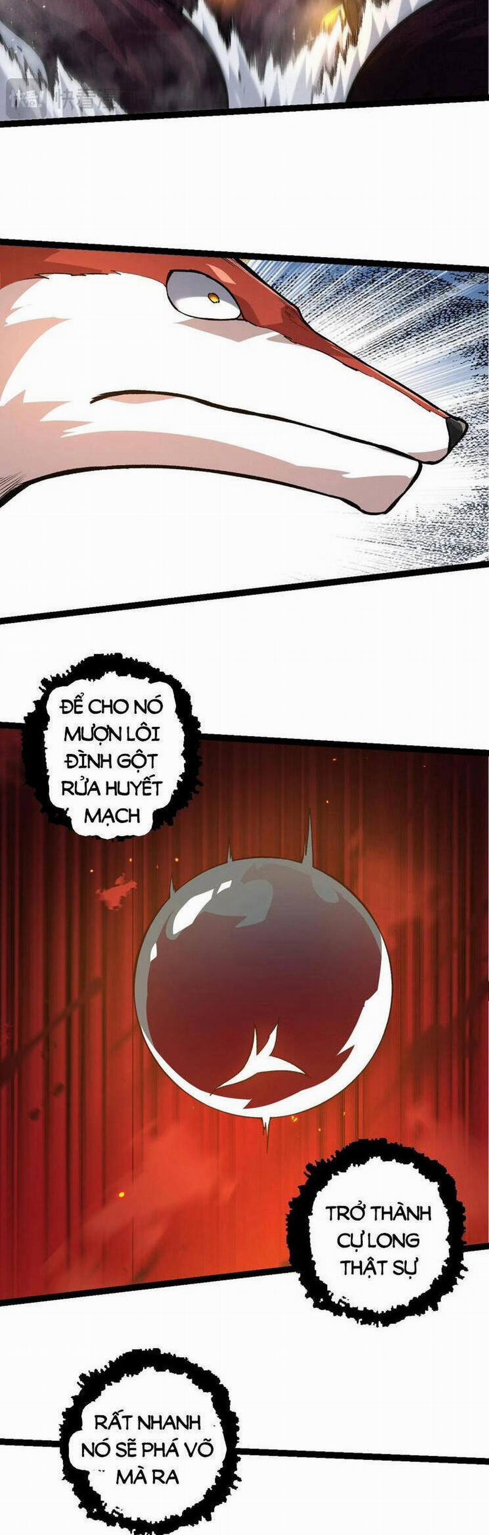 Chuyển Sinh Thành Liễu Đột Biến 150 trang 4