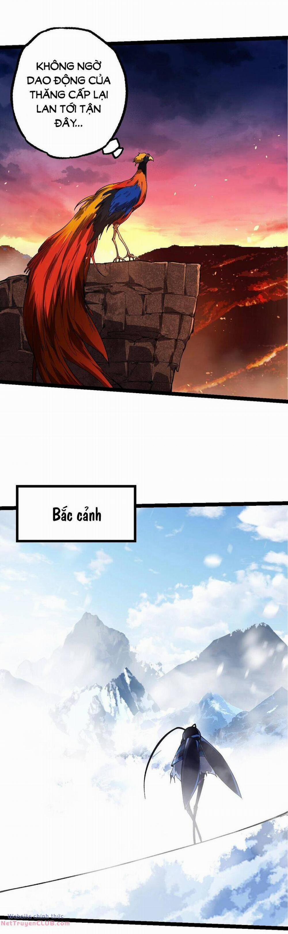 Chuyển Sinh Thành Liễu Đột Biến 159 trang 12