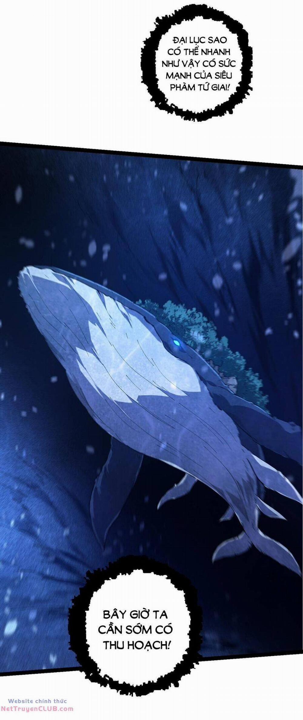 Chuyển Sinh Thành Liễu Đột Biến 159 trang 16