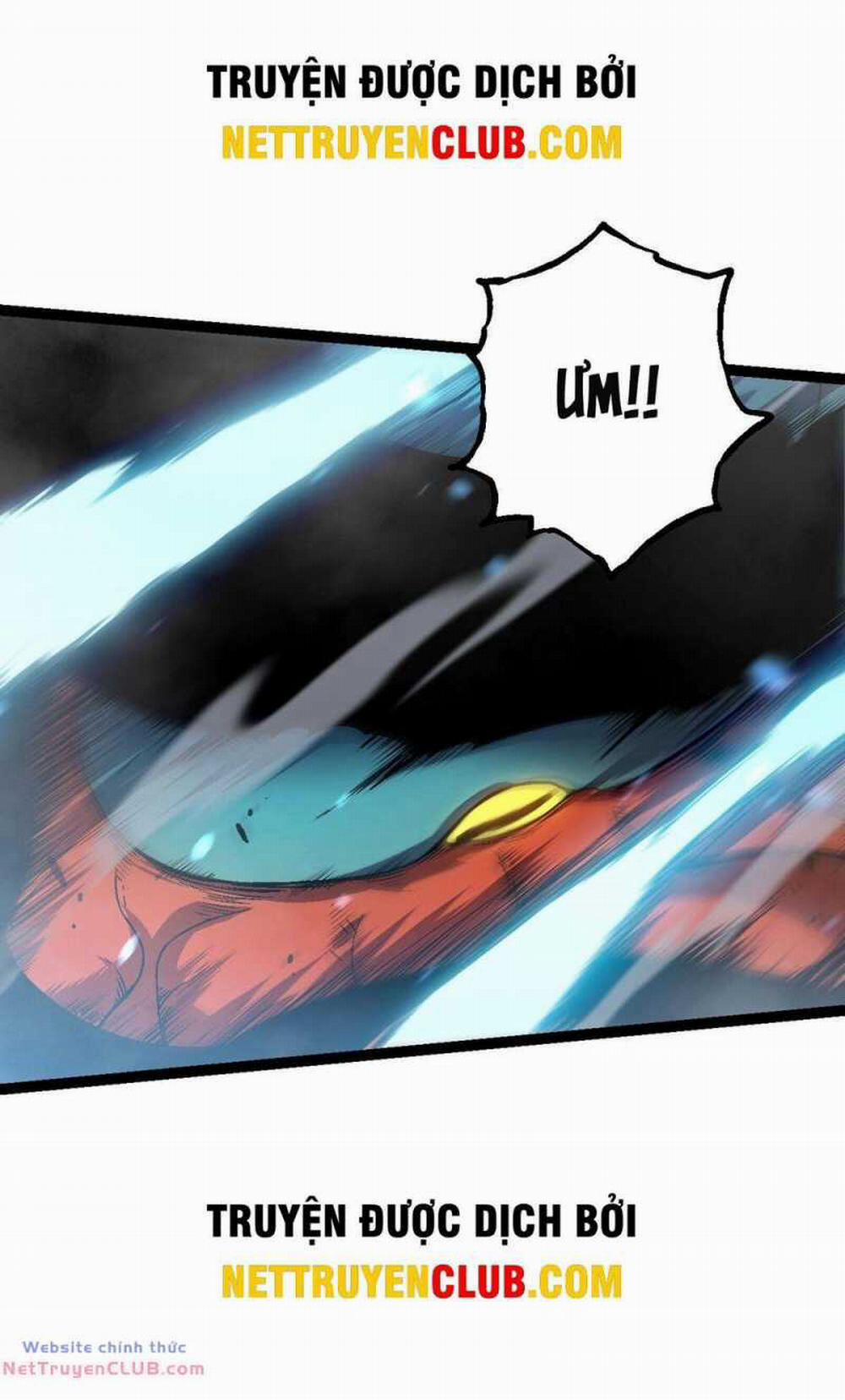 Chuyển Sinh Thành Liễu Đột Biến 163 trang 12