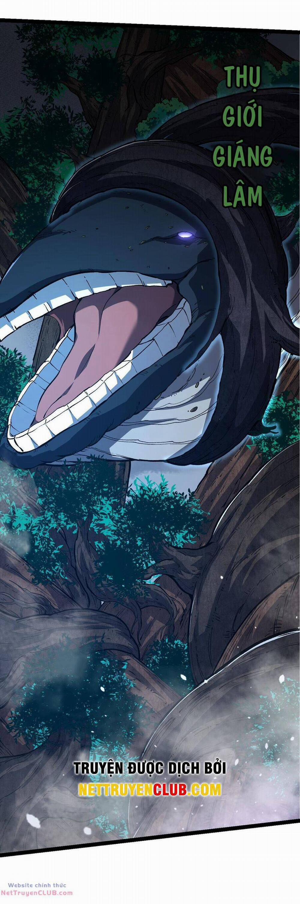 Chuyển Sinh Thành Liễu Đột Biến 164 trang 7