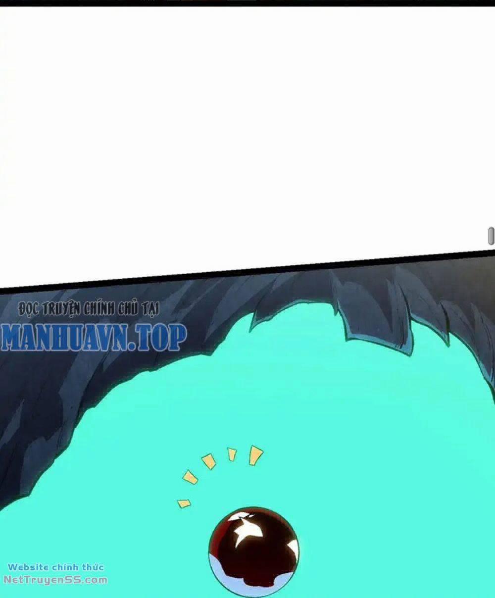 Chuyển Sinh Thành Liễu Đột Biến 166 trang 11