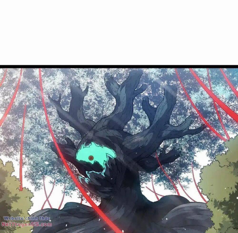 Chuyển Sinh Thành Liễu Đột Biến 166 trang 4