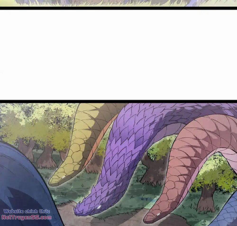 Chuyển Sinh Thành Liễu Đột Biến 166 trang 6