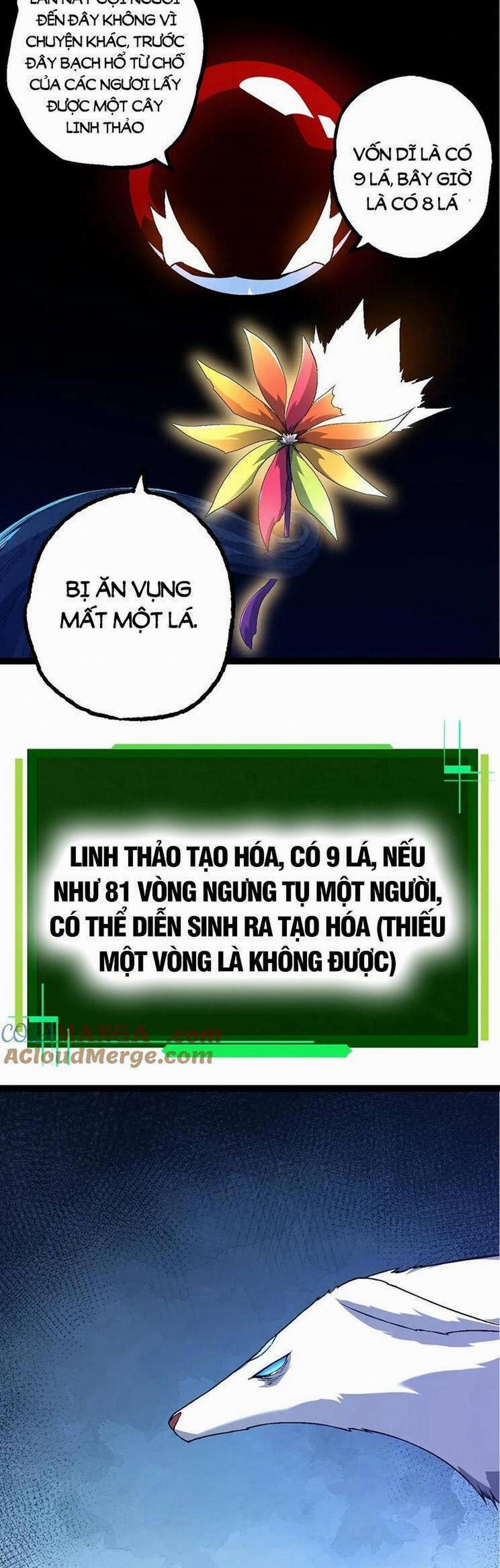 Chuyển Sinh Thành Liễu Đột Biến 167 trang 33