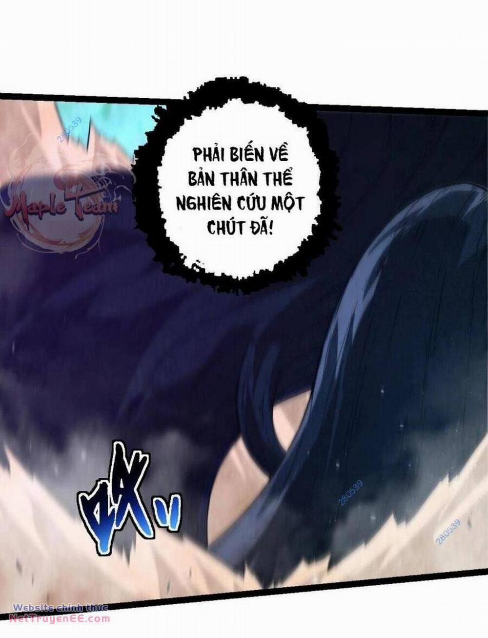 Chuyển Sinh Thành Liễu Đột Biến 194 trang 12