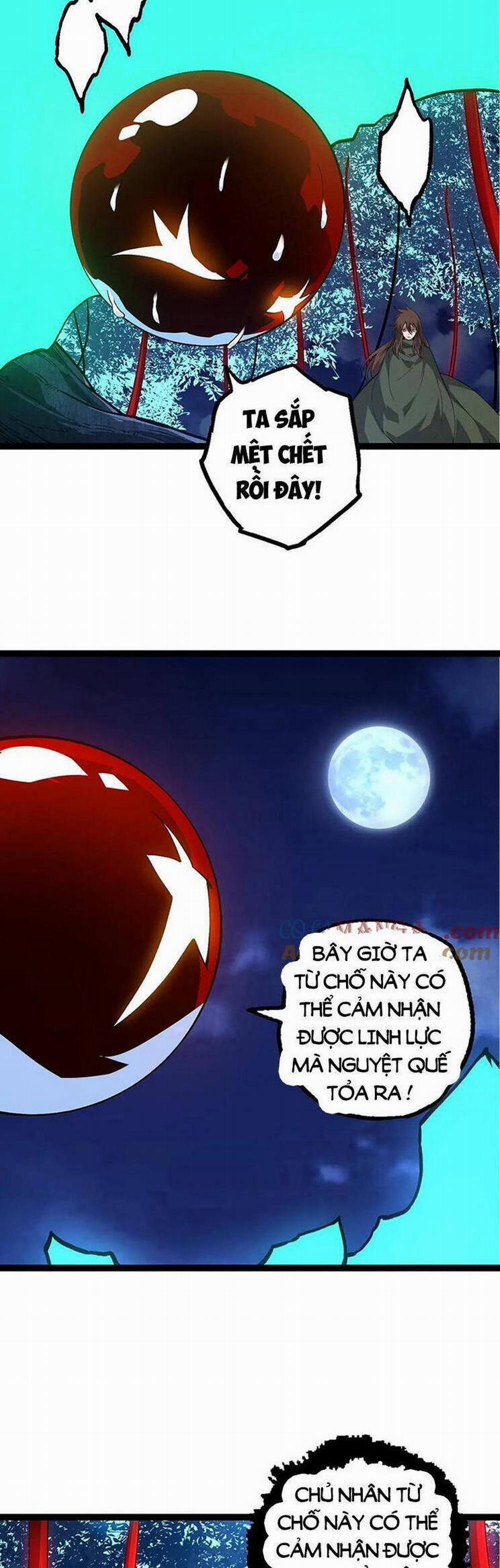 Chuyển Sinh Thành Liễu Đột Biến 199 trang 20