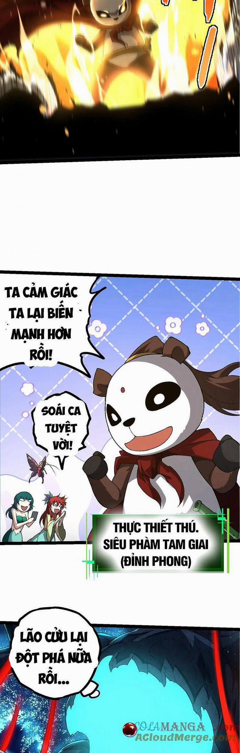 Chuyển Sinh Thành Liễu Đột Biến 202 trang 24