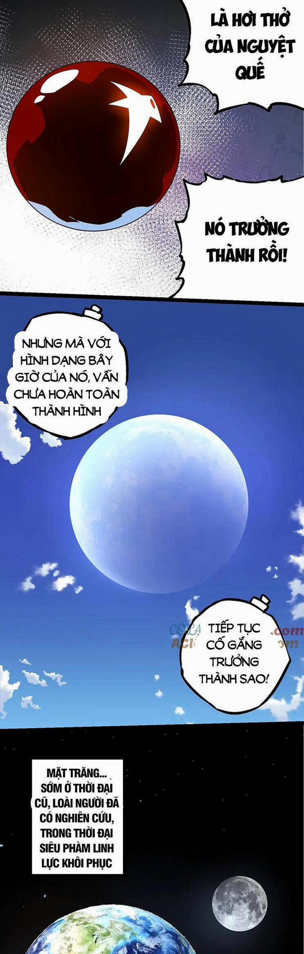 Chuyển Sinh Thành Liễu Đột Biến 203 trang 13