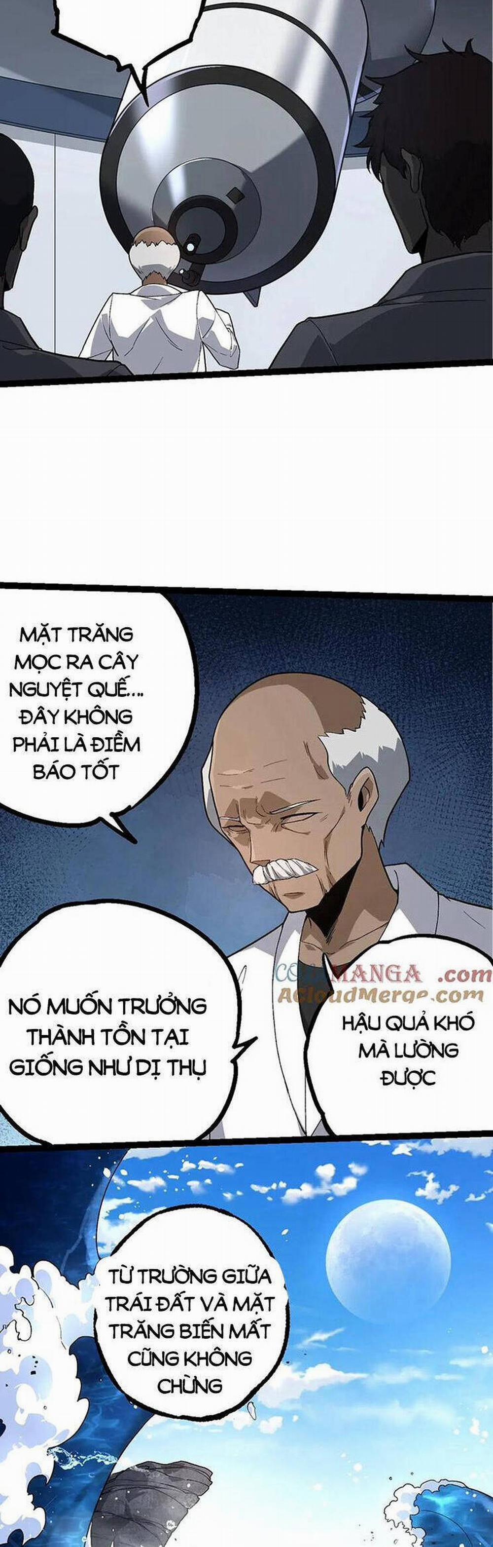 Chuyển Sinh Thành Liễu Đột Biến 203 trang 16