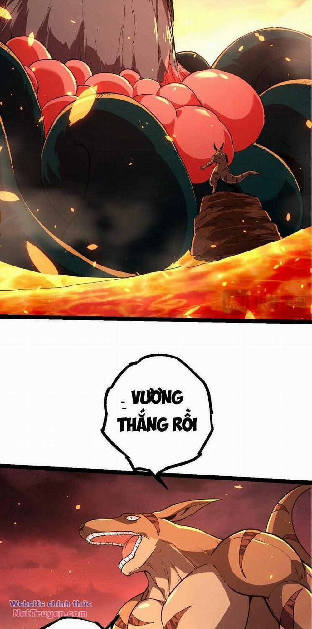 Chuyển Sinh Thành Liễu Đột Biến 206 trang 11