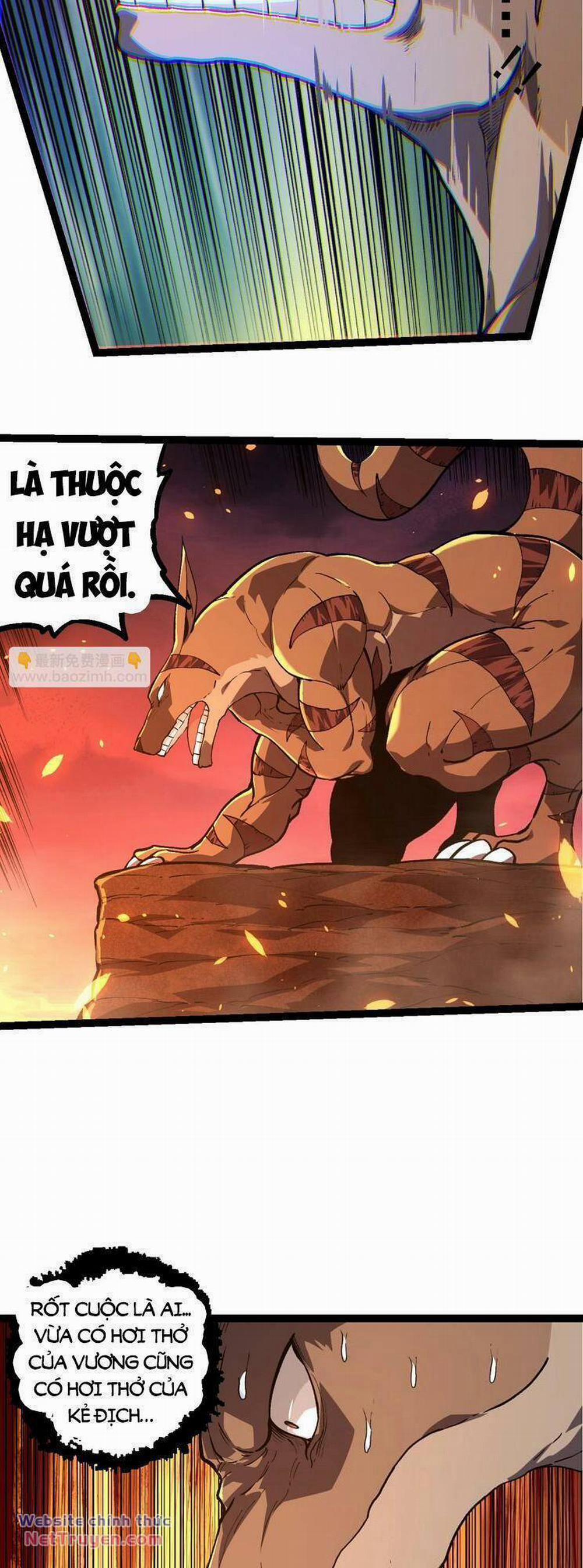 Chuyển Sinh Thành Liễu Đột Biến 206 trang 13