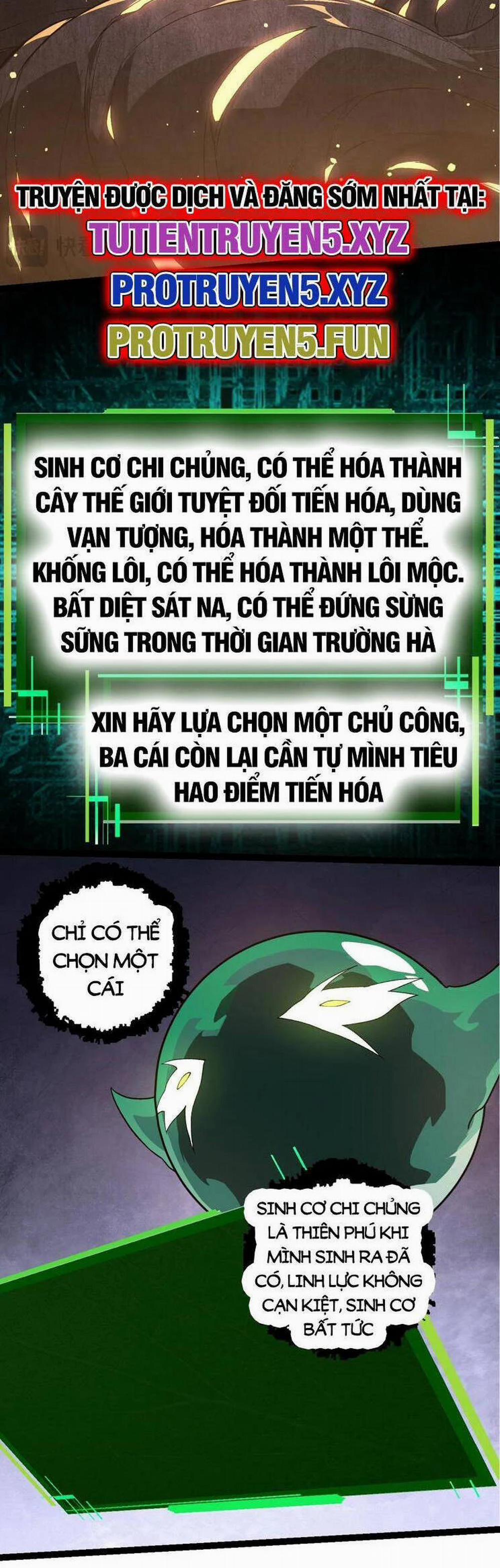 Chuyển Sinh Thành Liễu Đột Biến 208 trang 4