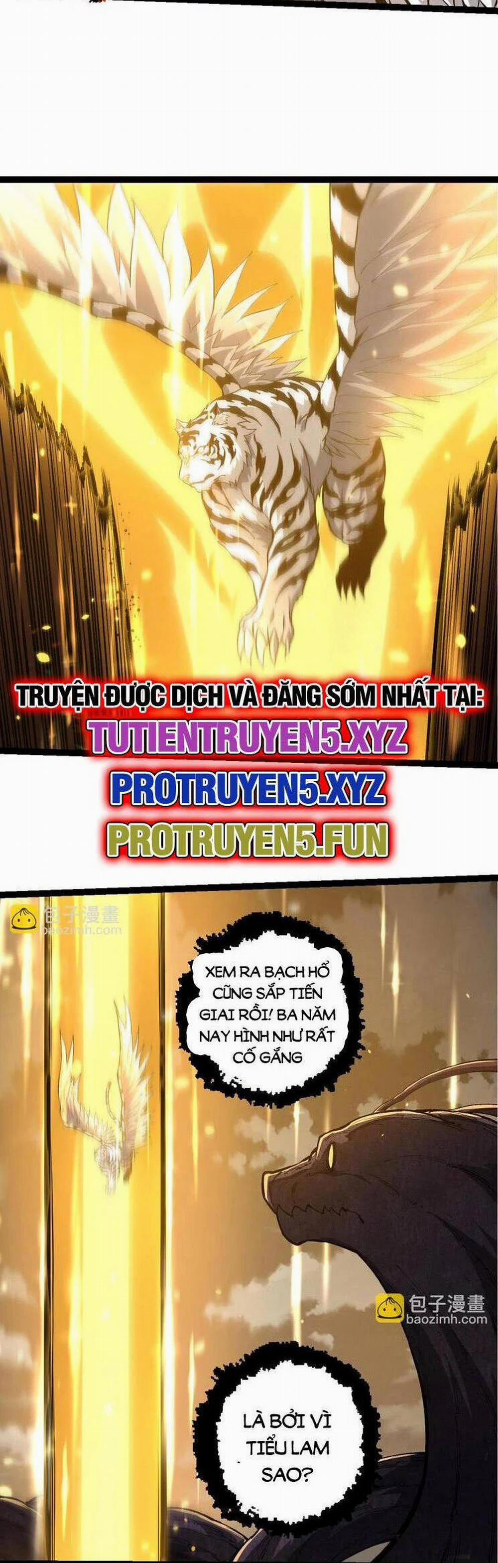 Chuyển Sinh Thành Liễu Đột Biến 210 trang 13