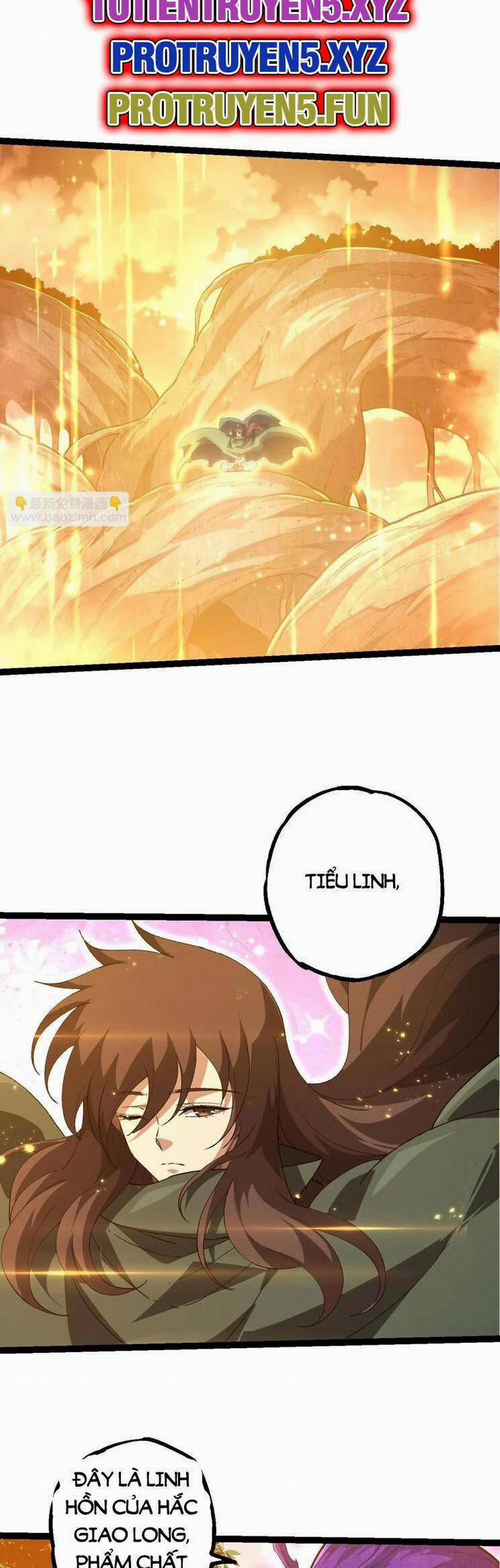 Chuyển Sinh Thành Liễu Đột Biến 210 trang 6