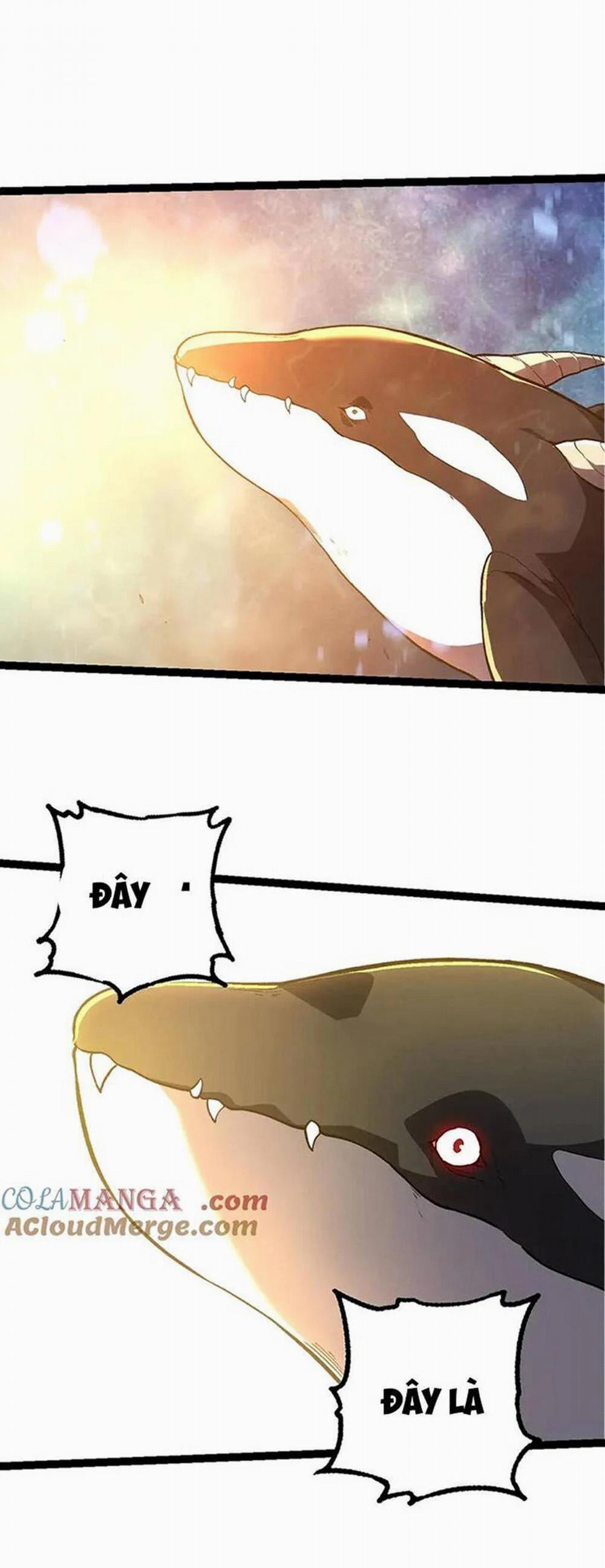 Chuyển Sinh Thành Liễu Đột Biến 213 trang 46