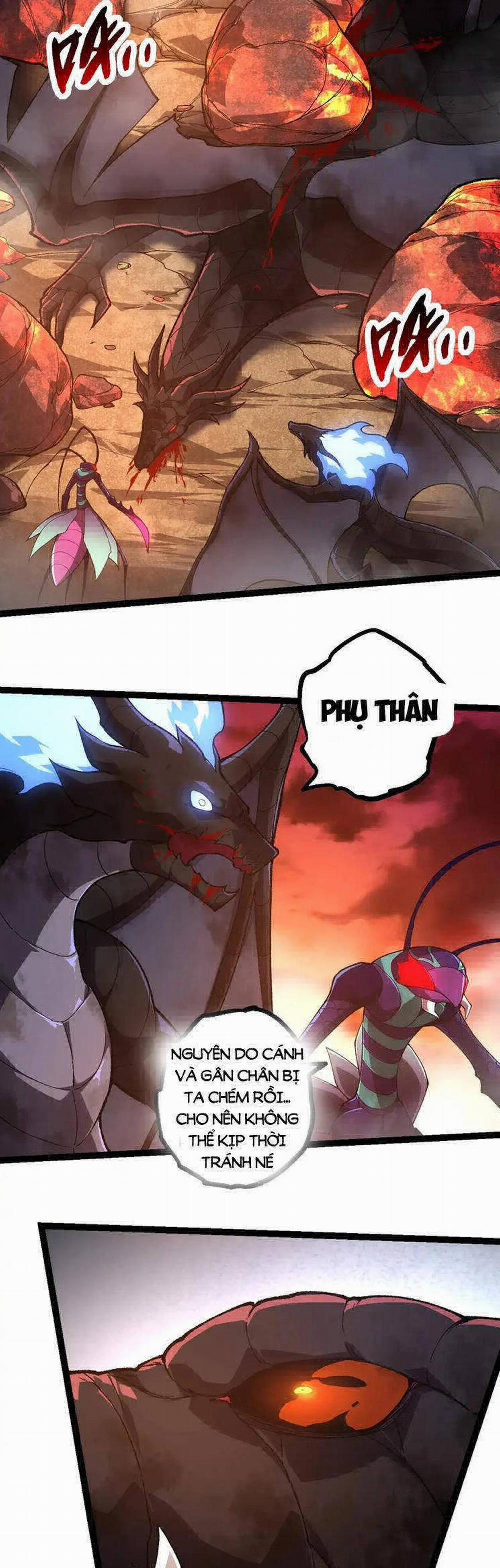 Chuyển Sinh Thành Liễu Đột Biến 232 trang 18