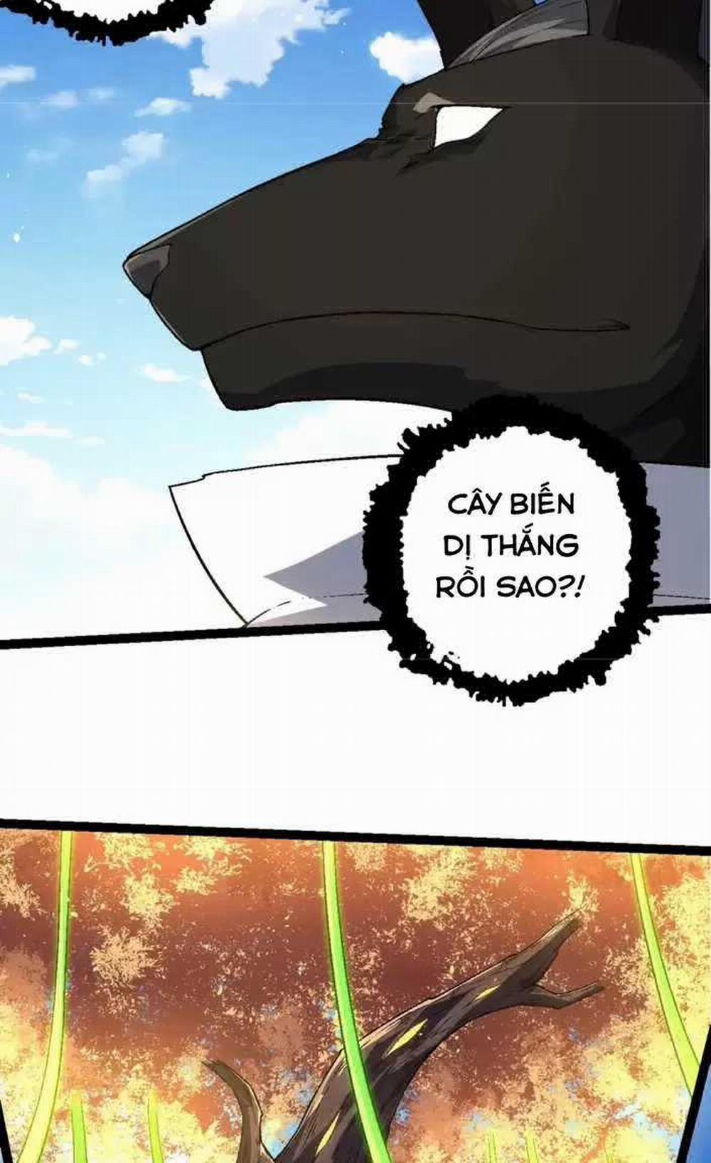 Chuyển Sinh Thành Liễu Đột Biến 241: ToptruyenZ.com trang 11