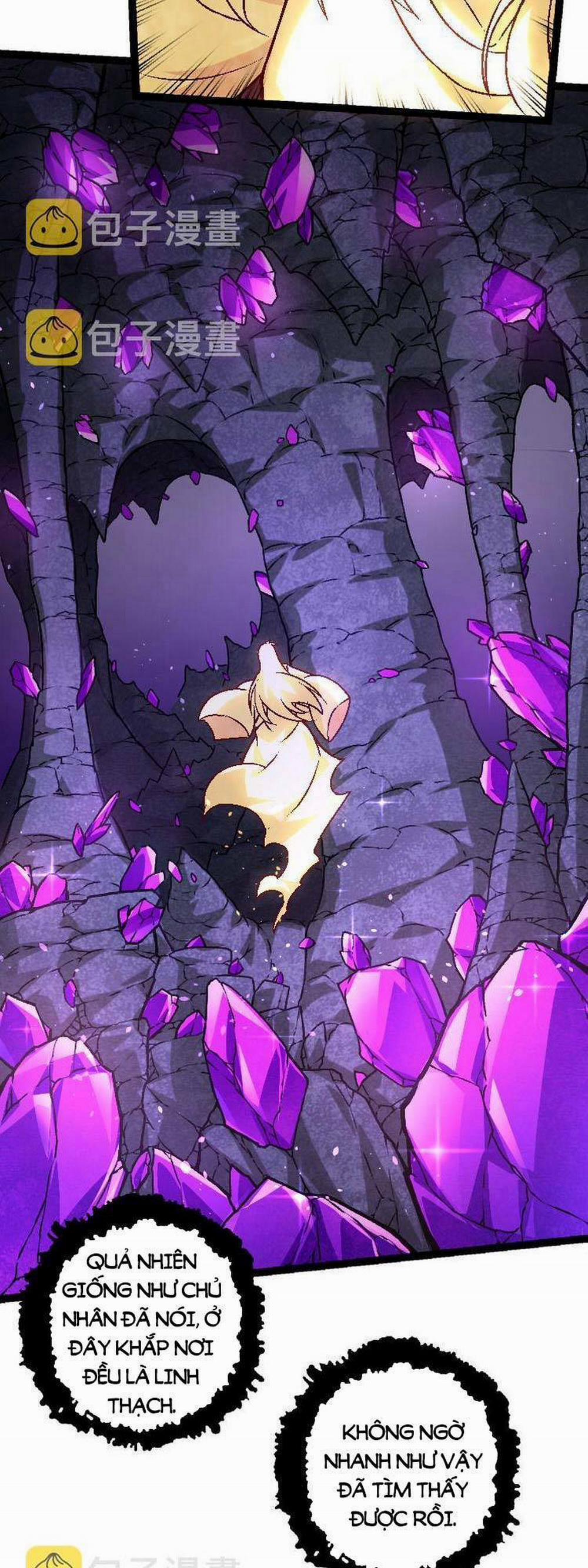 Chuyển Sinh Thành Liễu Đột Biến 25 trang 2