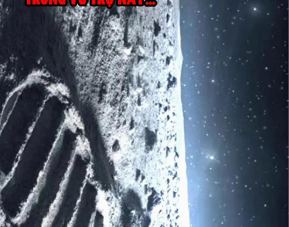 Chuyển Sinh Thành Liễu Đột Biến 256 trang 82