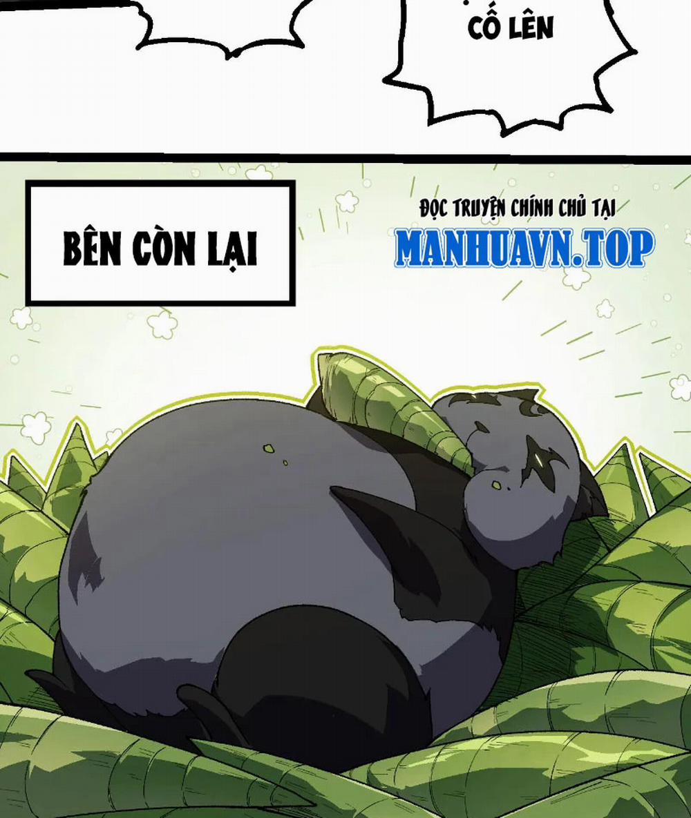 Chuyển Sinh Thành Liễu Đột Biến 260 trang 24